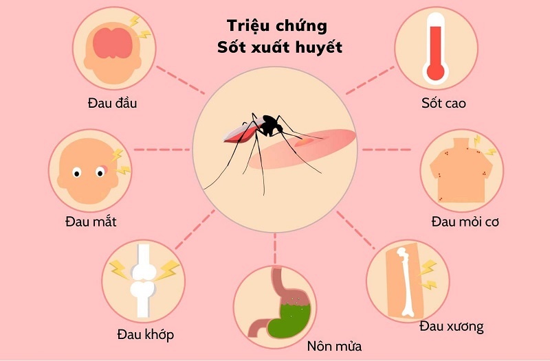 Sốt xuất huyết dengue là gì? Sốt xuất huyết có nguy hiểm không?