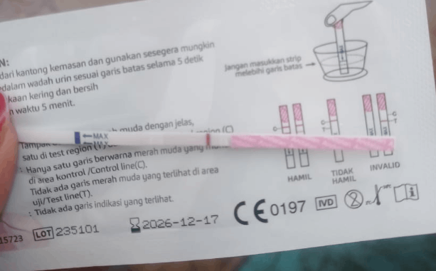 Tentang menstruasi dan kehamilan