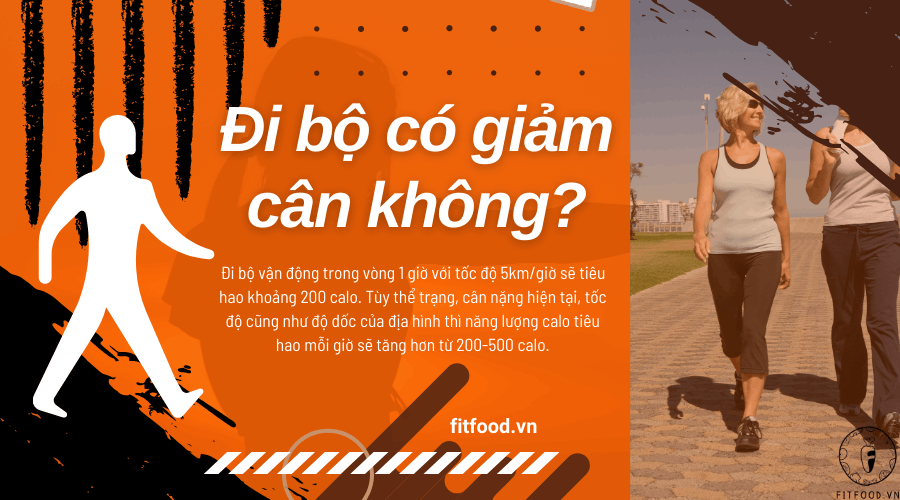 ĐI BỘ CÓ GIẢM CÂN KHÔNG? ĐI BỘ NHƯ THẾ NÀO MỚI GIẢM CÂN HIỆU QUẢ?