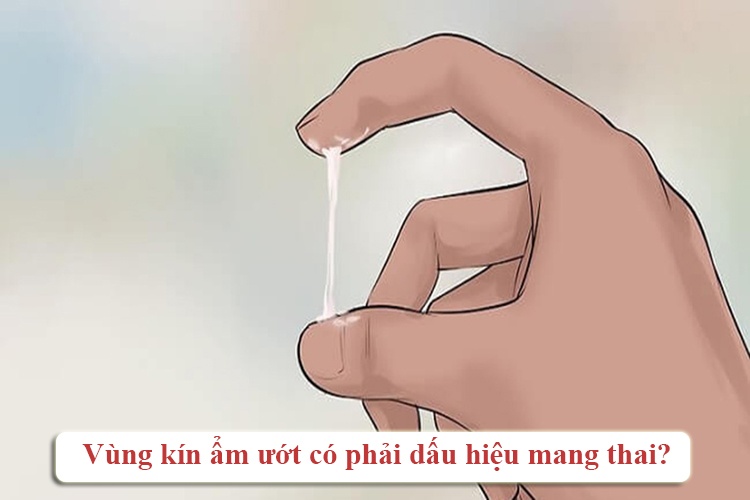 Vùng kín ẩm ướt: Liệu có phải dấu hiệu mang thai?