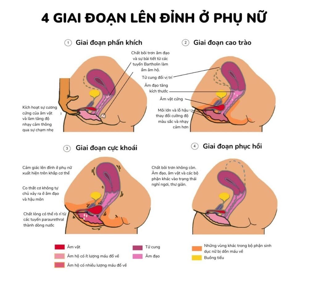 Phụ nữ lên đỉnh nhiều có tốt không