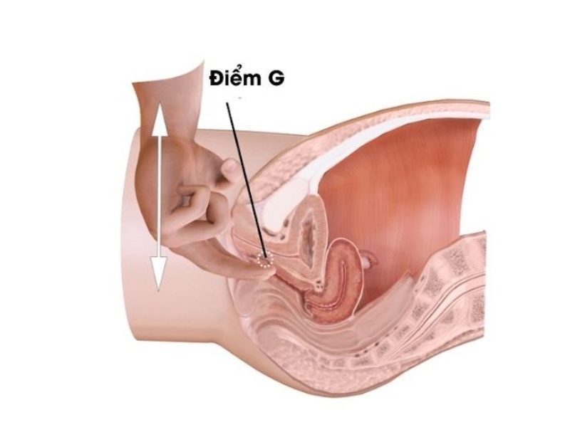 Phụ Nữ Khi Lên Đỉnh Có Xuất Không? Giải Mã Hiện Tượng Bí Ẩn 