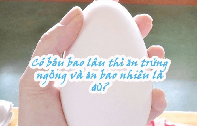 Bà bầu mấy tháng ăn được trứng ngỗng và ăn bao nhiêu là đủ?