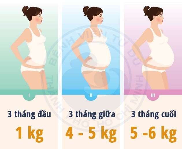 Mang thai tuần đầu có tăng cân không?