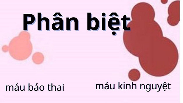 Hình ảnh máu báo thai 