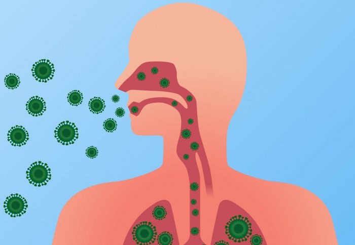 Virus cảm cúm sống được bao lâu?