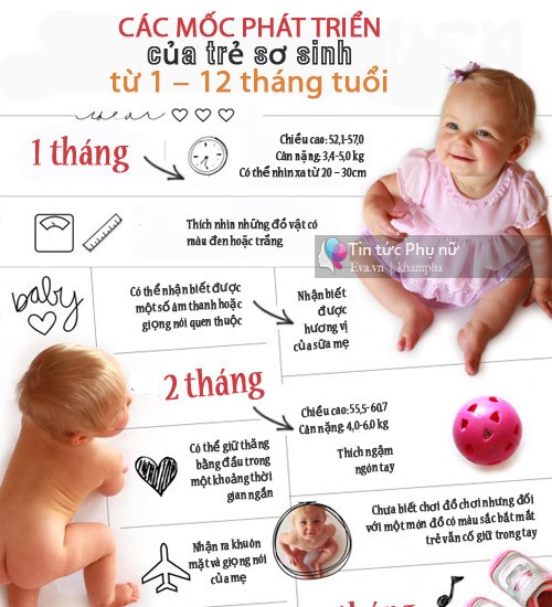 Bé sơ sinh là từ mấy tháng tuổi, đặc điểm nhận biết