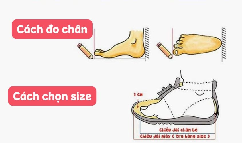 Bé 2 tuổi bàn chân dài bao nhiêu cm?